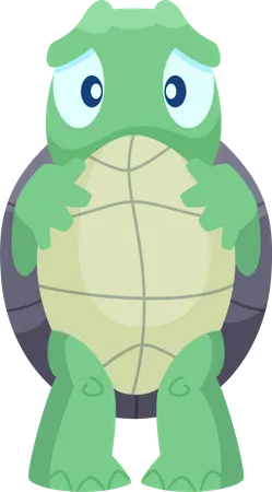 Turtle  Illustration
