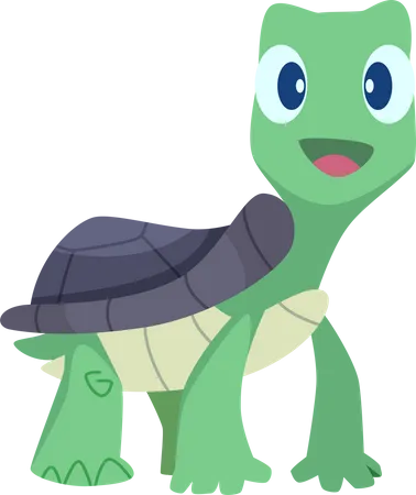 Turtle  Illustration