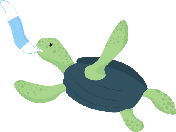 Turtle snatches disposable face mask  Illustration