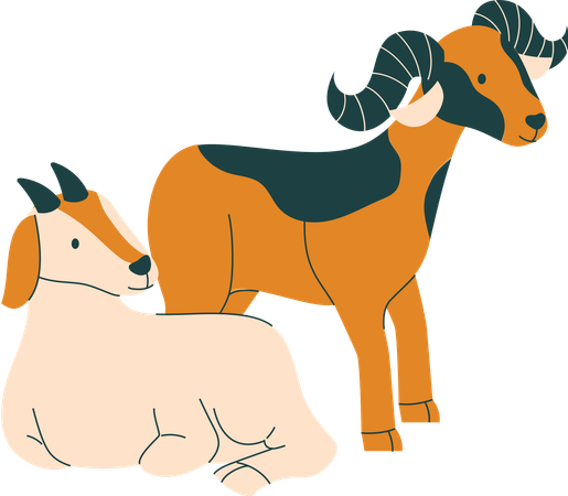 Two Goats  Illustration