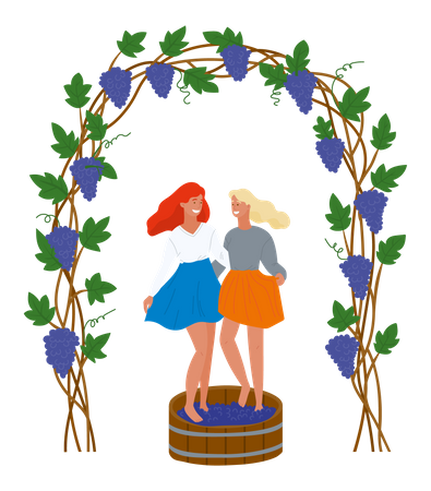 Two village young women are squeezing grapes with her feet  イラスト