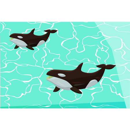 Two whales in sea Illustration