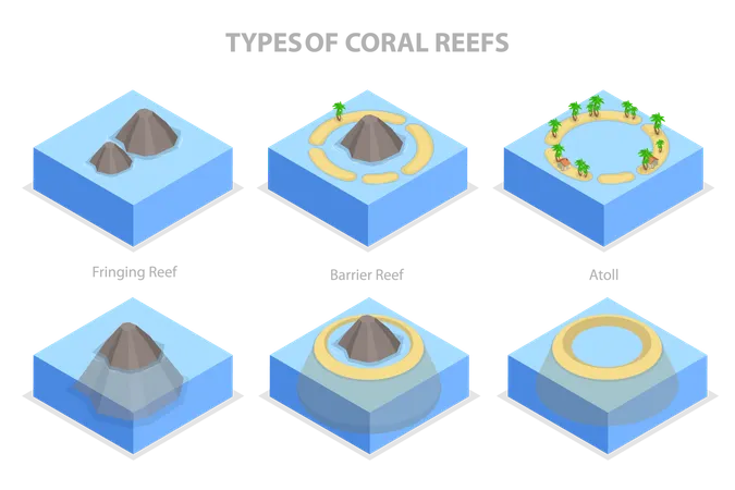 3 D Isometric Flat Vector Illustration Of Types Of Coral Reefs Structure Of Islands Illustration