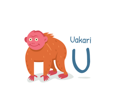 Uakari  Illustration