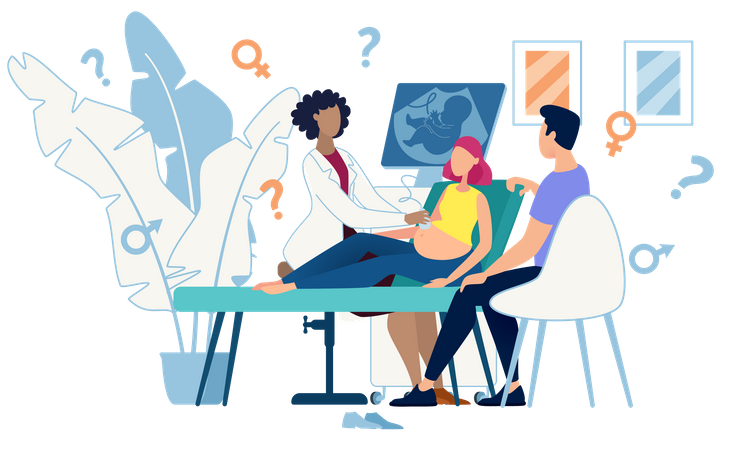 Ultrasound Cabinet Examination of Pregnant Woman Sex Determination  Illustration