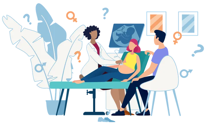 Ultrasound Cabinet Examination of Pregnant Woman Sex Determination  Illustration