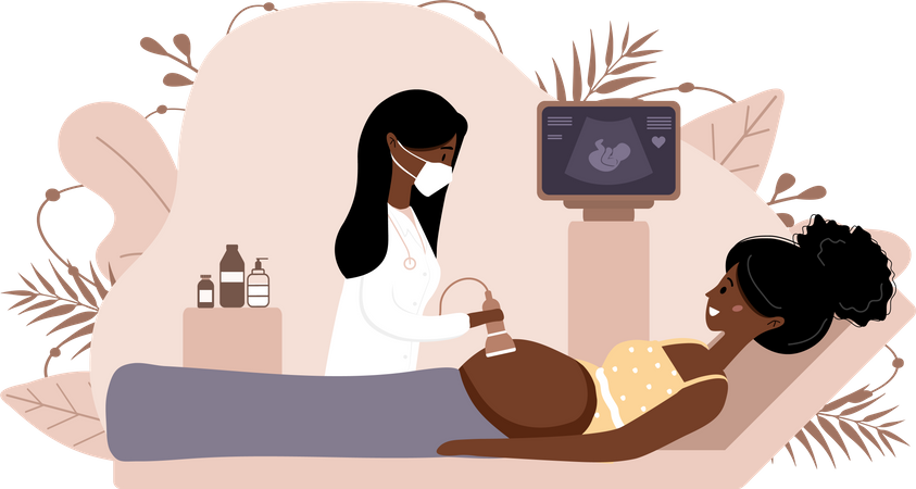 Ultrasound pregnancy screening  Illustration