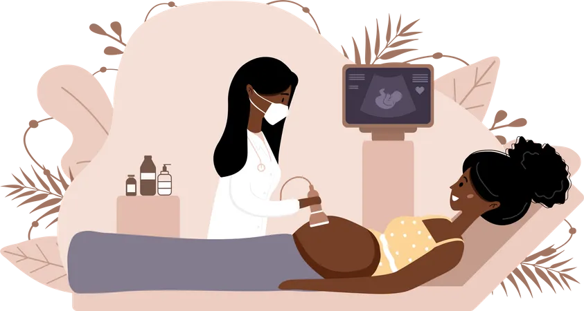 Ultrasound pregnancy screening Illustration