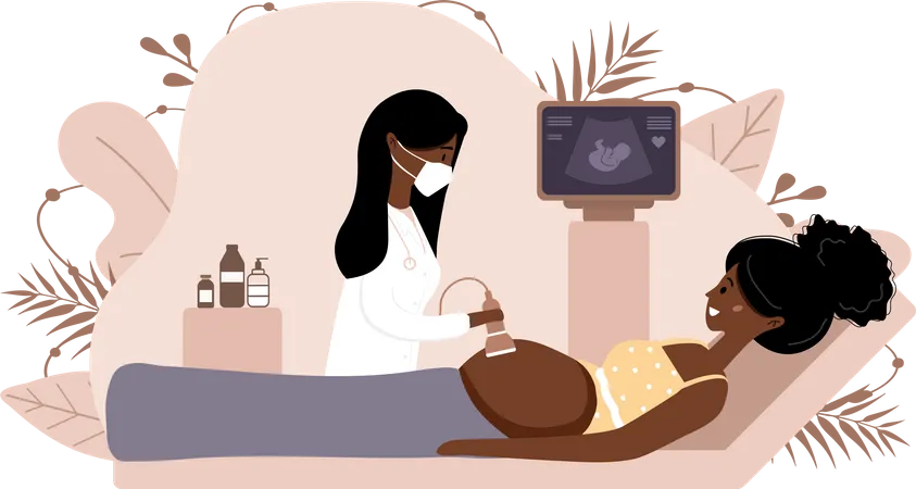 Ultrasound pregnancy screening  Illustration