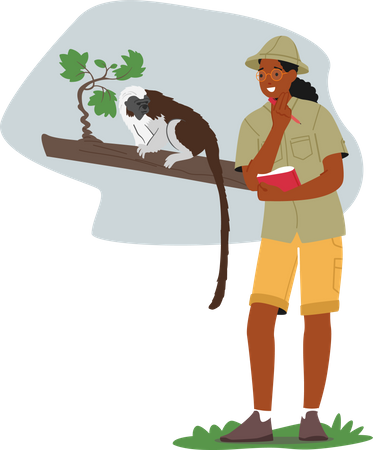 Un activiste du zoo étudie les singes dans leur habitat naturel  Illustration