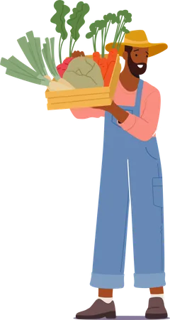 Un agriculteur berce fièrement une caisse en bois remplie de produits fraîchement récoltés  Illustration