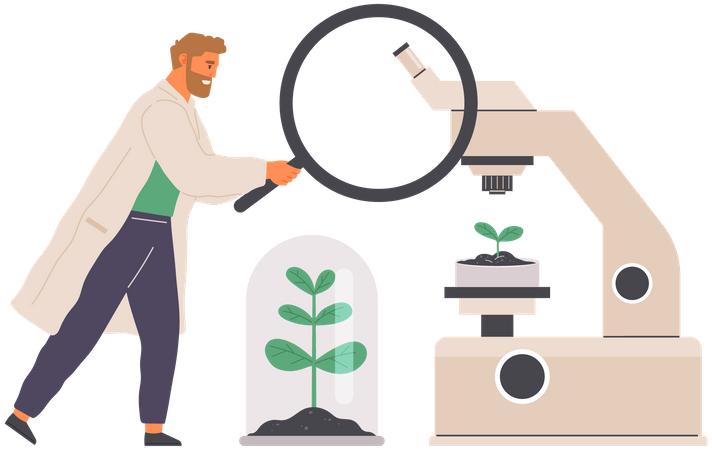 Un biologiste étudie une plante  Illustration
