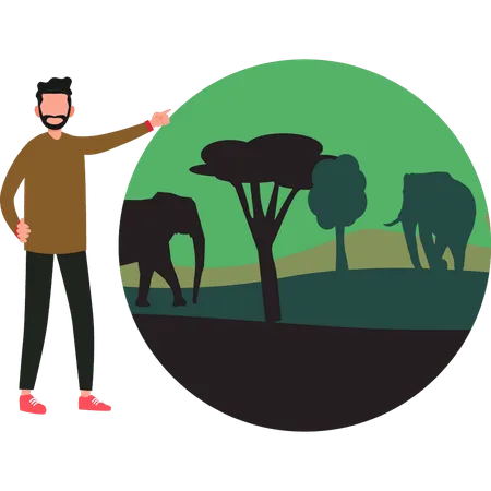 Le garçon montre les éléphants dans la forêt  Illustration