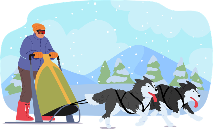 Un homme monte joyeusement en traîneau à chiens  Illustration