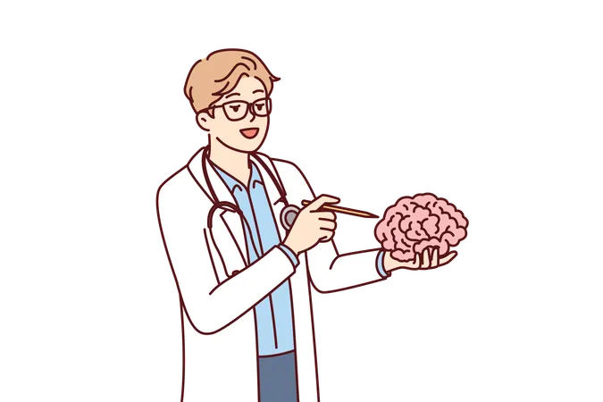 Le docteur tient le cerveau en main expliquant le travail des neurones aux étudiants de l'université de médecine  Illustration