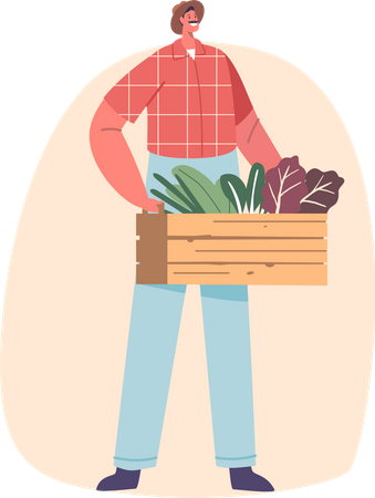 Le personnage masculin du fermier tient fièrement une boîte en bois remplie de produits frais  Illustration