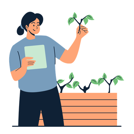 Una agricultora analiza el crecimiento de sus plantas utilizando tecnología moderna.  Illustration