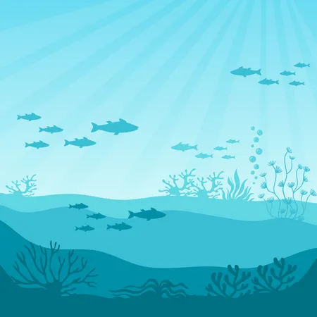 Undersea Coral Reef Undersea Panorama Vector Illustration Beautiful Marine Ecosystem And Wildlife In Blue Ocean Underwater Ocean Fauna With Coral Reef Seaweed Plants And Fishes Silhouettes Illustration