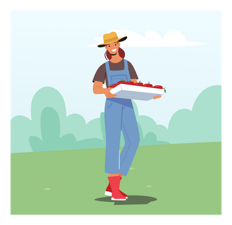 Une agricultrice transportant des pommes fraîches de la ferme  Illustration