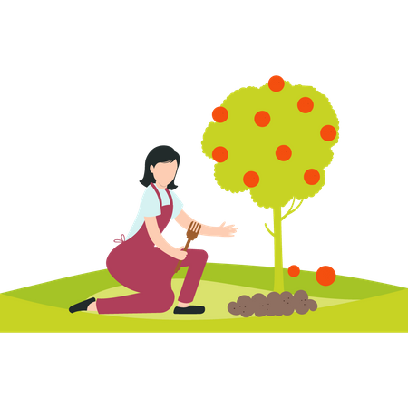 Une fille creusant une plante dans un jardin ou une ferme près d'un arbre fruitier  Illustration
