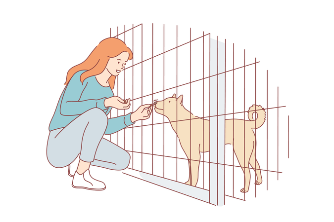 Une fille nourrit un chien au zoo  Illustration