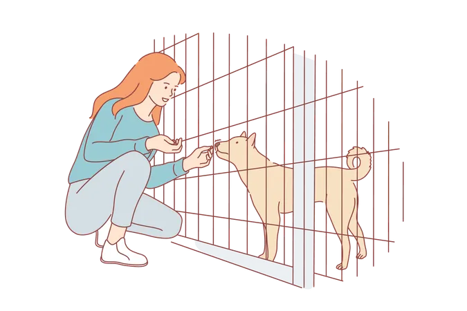 Une fille nourrit un chien au zoo  Illustration