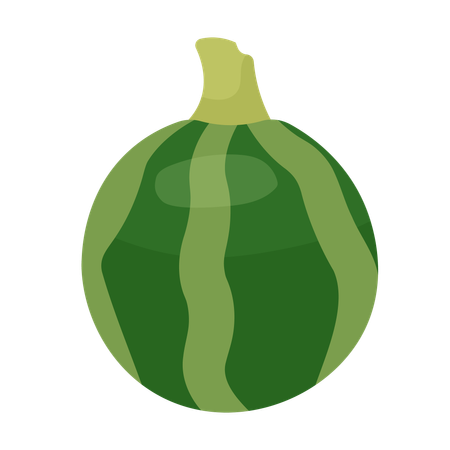 Unripe pumpkin  Illustration