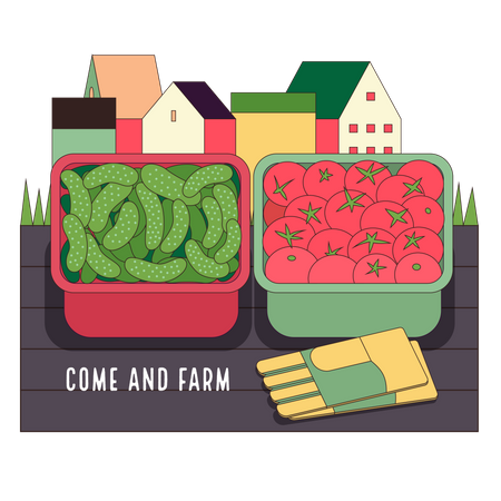 Urban farming and gardening - cucumbers and tomatoes  Illustration