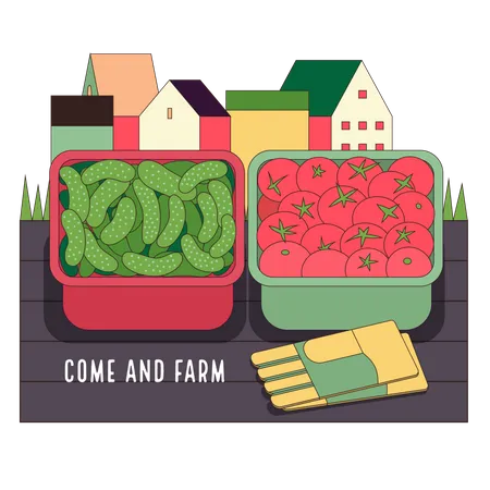 Urban farming and gardening - cucumbers and tomatoes  Illustration