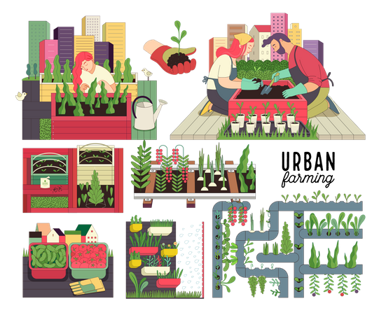 Urban farming and gardening  Illustration