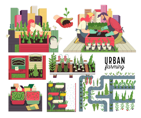 Urban farming and gardening  Illustration