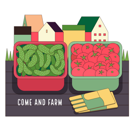 Urban Farming und Gardening – Gurken und Tomaten  Illustration