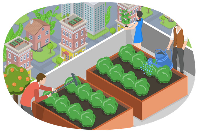 Urban Rooftop Farming Illustration