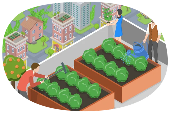 Urban Rooftop Farming Illustration