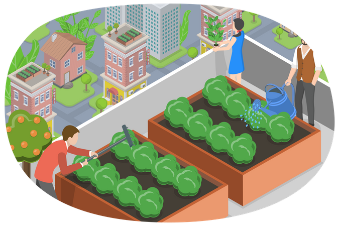 Urban Rooftop Farming  Illustration