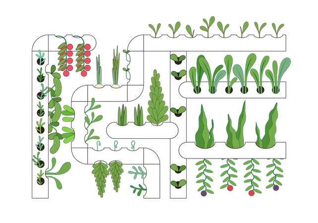 Urban Farming Gartenbau Oder Landwirtschaft Hydroponik Durchlauflosungskultur Nahrstofffilmtechnik Das Anbausystem Ohne Erde Illustration