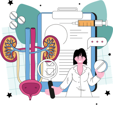 Urinary system examination  Illustration