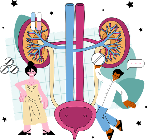 Urinary system treatment  Illustration