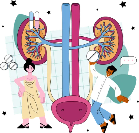 Urinary system treatment  Illustration