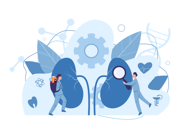 Urologist  Illustration