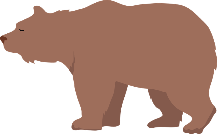 Urso marrom  Ilustração