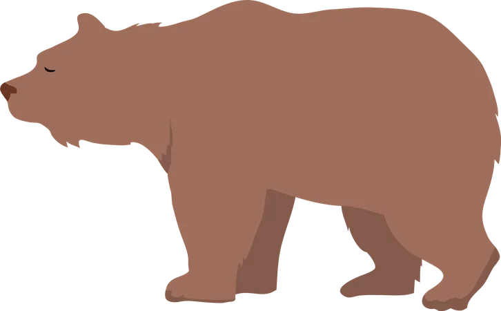 Urso marrom  Ilustração