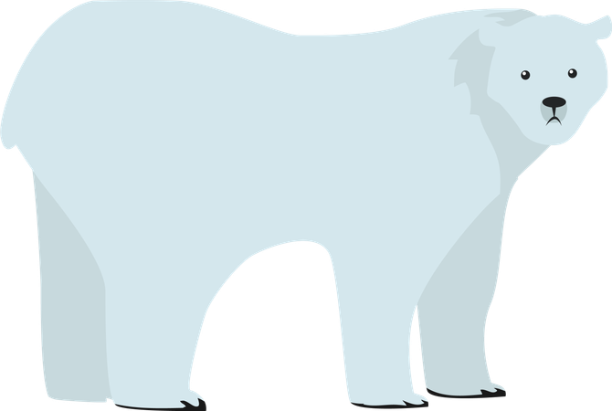 Urso polar  Ilustração