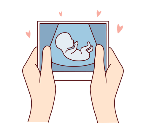 Photo du ventre de femme enceinte  Illustration