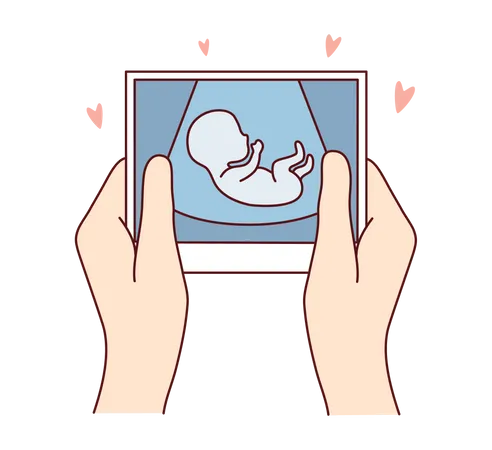 Photo du ventre de femme enceinte  Illustration