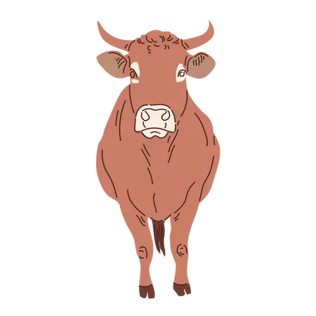 Vaca  Ilustração