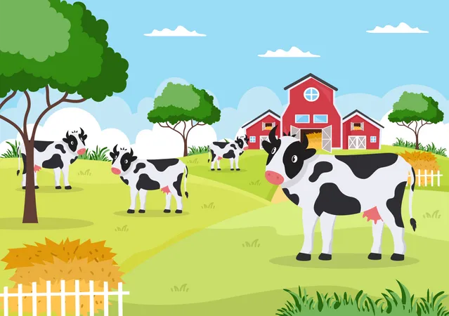 Vacas leiteiras em terras agrícolas  Ilustração