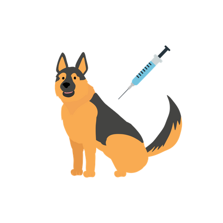 Vaccination d'un chien  Illustration