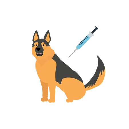 Vaccination d'un chien  Illustration