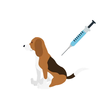 Vaccination Of A Dog  Illustration